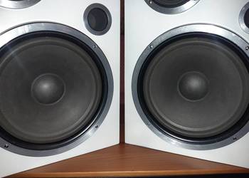 Kolumny Tonsil. Dynamic Speaker HX80- Altus 110