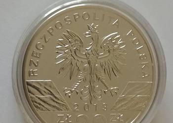 Moneta 20 zł 2013 r. Żubr.Seria ,, Zwierzęta świata ". Srebr
