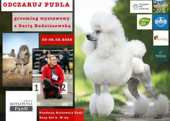 Szkolenia dla GROOMERÓW