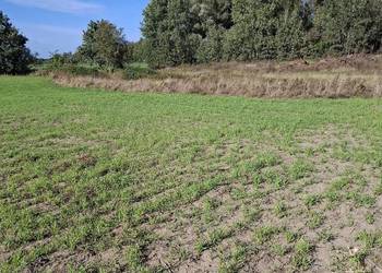 Działka budowlana