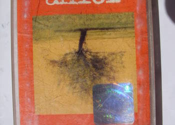 + Rock kas.; MAGDA ANIOL--Do gory nogami. 2004 rok.