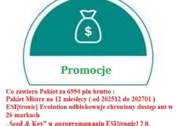 Esi Diagnostyka z Mistrz + sgw bez limitu ,26 marek