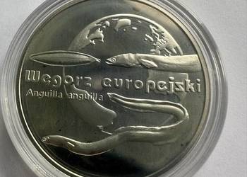 Moneta kolekcjonerska Węgorz europejski srebro