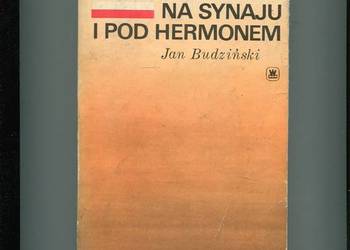 W błękitnym hełmie na Synaju i pod Hermonem - Budziński