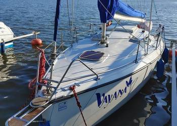 Focus 650 jacht + silnik Tohatsu i przyczepa Tema