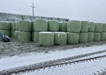 Sianokiszonką pierwszy pokos