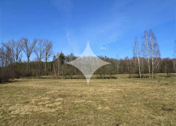 Łąka i las w Cieleśnicy