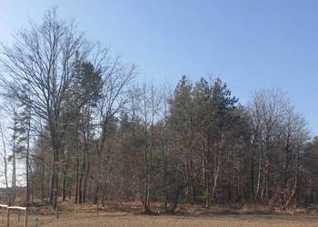 Dzialka lesna mozliwosc budowy domku rekreacyjnego pod wynajem zamiana