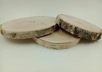 PLASTRY BRZOZOWE  5 SZT. 15-20 CM KRĄŻKI BROZOZWE PLASTRY DREWNIANE P2