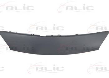 NOSEK MASKI - RENAULT SCENIC 06/03-05/09