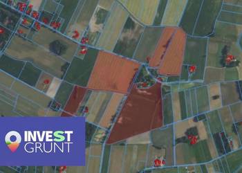 Dzierżawa gruntu rolnego [130,97 ha]