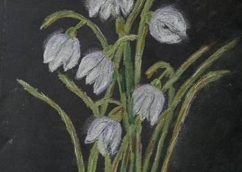 Przebiśniegi pastele suche A4