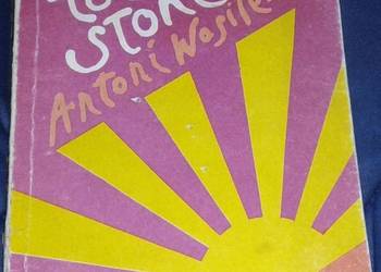 Pod totemem słońca - Antoni Wasilewski