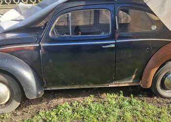 vw garbus 1958 zarejestrowany semafory