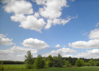 Działka budowlana w Waliskach