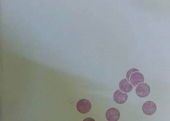 AMINOKWASY PEPTYDY BIAŁKA - JAKUBKE JESCHKEIT AMINOKWASY PEPTYDY BIAŁKA - JAKUBKE JESCHKEIT