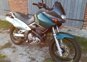 Suzuki XF650 Freewind