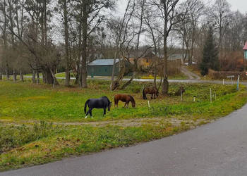 Sprzedam dom wolnostojący Radomirka 68.6 metrów