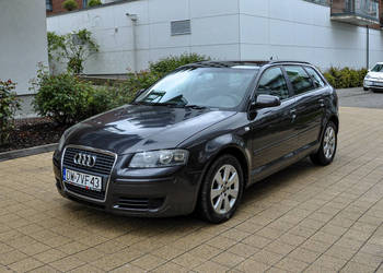 Audi A3 1,9TDI 2007 r. Bezwypadkowy Panorama