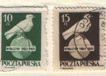 Zn. Fi 517, 8 kas 1950
