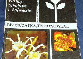 Mało znane ozdobne rośliny cebulowe i bulwiaste - Piskornik
