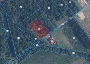 Działka w Babsku - Twoja enklawa wolności