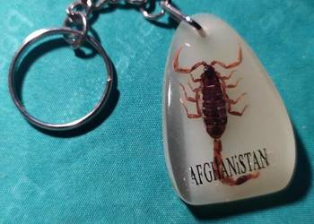 Brelok breloczek dekoracyjny kolekcjonerski – przywieszka SKORPION w żywicy Brelok breloczek dekoracyjny kolekcjonerski – przywieszka SKORPION w żywicy