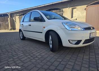 Zadbana Fiesta od kobiety