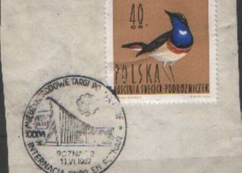 Wycinek z kop.okol. MTP  1967