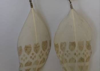 Kolczyki Boho pióra