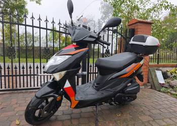 Lazio 50cc / 4T - 2023r - LED - Transport