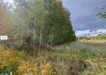 Ogłoszenie grunt 8879m2 Łagów