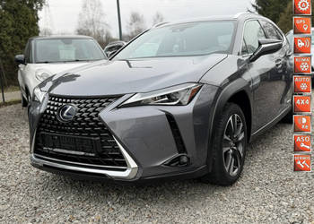 Lexus UX 250 Hybrid Ful LED Premium