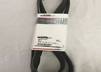 84373502 Pasek wieloklinowy CNH