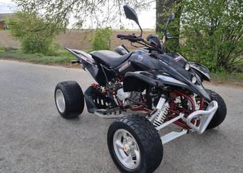 Quad Shineray Spyder 250cc Ciecz Duża Rama Kat B Zarejestrowany !