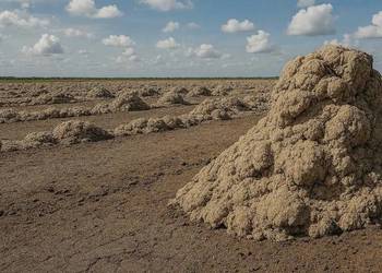 osady celuluzowe nawóz nawożenie gleby