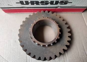 Ursus 1224