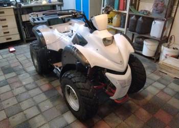 Quad 125vz Homologacją