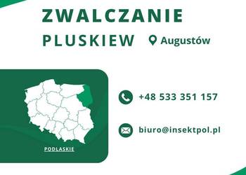 Zwalczanie pluskiew Augustów - Odpluskwianie, Dezynsekcja