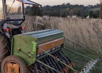 Siewnik zbożowy Amazone D7 special II Typ 25