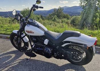 Harley Davidson Softail Cross Bones