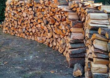 Drewno kominkowe, drewno opałowe Drewno kominkowe, drewno opałowe