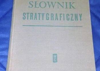 Słownik stratygraficzny - praca zbiorowa.