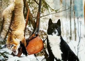 Łowiec polski księgarnia warszawska Łowiec polski księgarnia warszawska