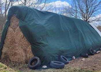 Bele słomy rozmiar 130