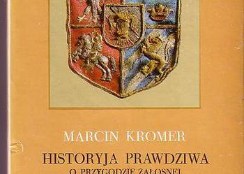(821) HISTORYJA PRAWDZIWA O PRZYGODZIE ŻAŁOSNEJ KSIĄŻĘCIA FI