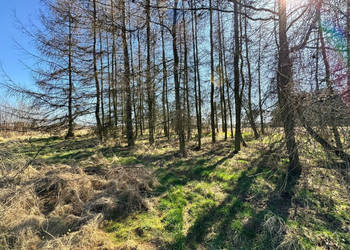 Działka budowlana 5436 m² Łuków Śląski