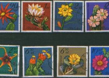 Zn. Fi 2636 - 43 kas 1981