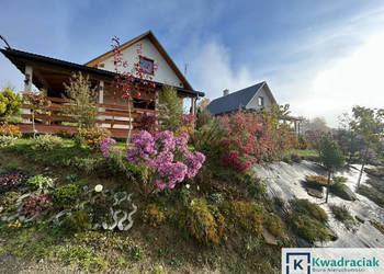 Lokal 330m2 Brzegi Dolne