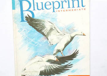 ksiązka Blueprint Intermediate, longman blueprint podręcznik
